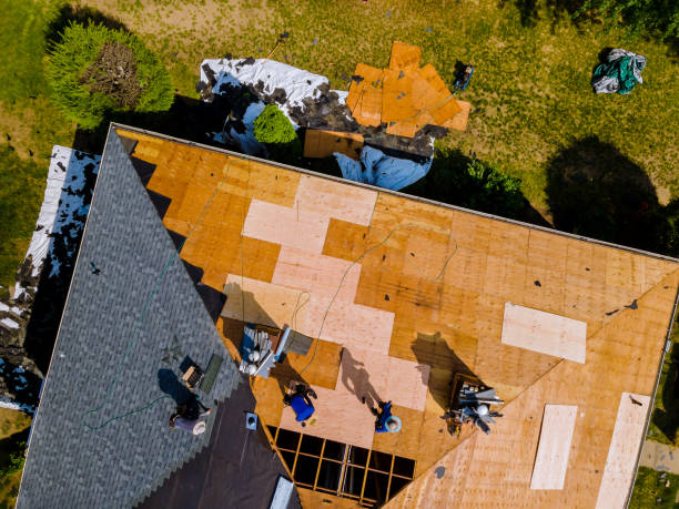 Best Roof Repair Services  in Highlands, TX
