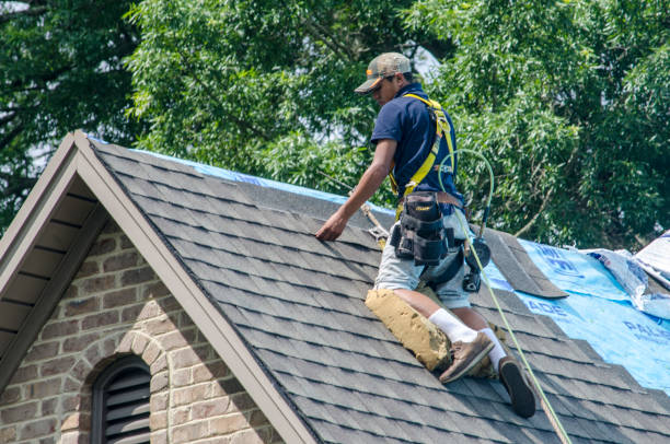 Best Gutter Installation and Roofing  in Highlands, TX